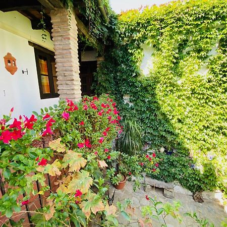 Posada La Casa Grande Jimena De La Frontera Ngoại thất bức ảnh