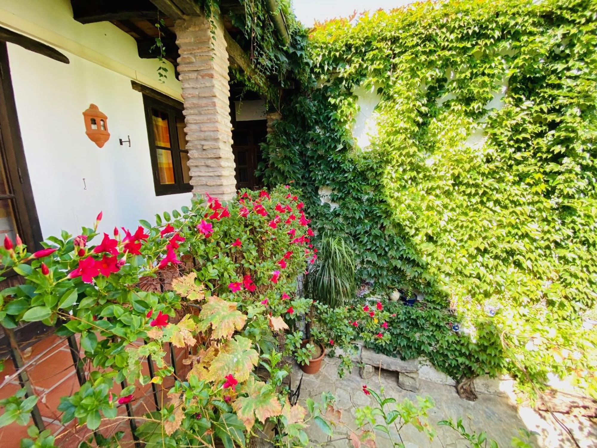 Posada La Casa Grande Jimena De La Frontera Ngoại thất bức ảnh